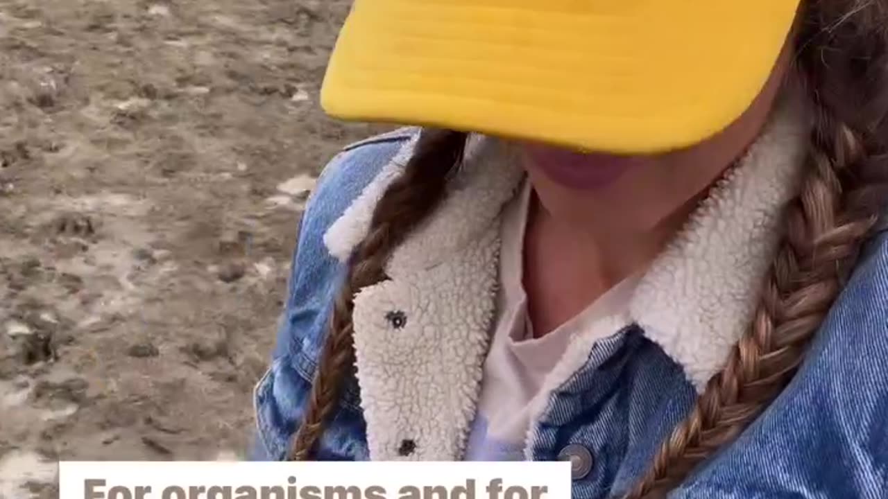 Regenerative soil and grass technology at work. cartercountrymeats.com