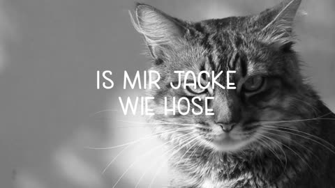 Cruxxx & Nick Shit - Safespace (Prod. Cruxxx)