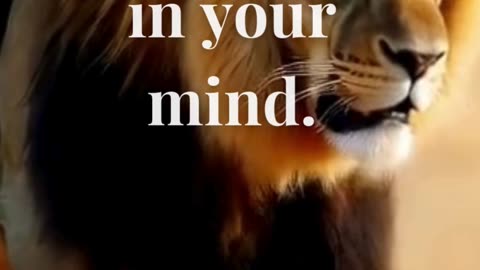 Don’t be pushed around by the fears in your mind. Be led by the dreams in your heart