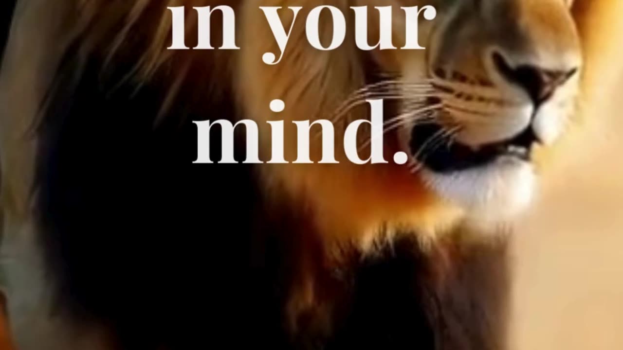 Don’t be pushed around by the fears in your mind. Be led by the dreams in your heart