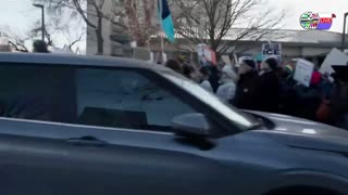 TWO CATS U.S. POLITICAL NEWS