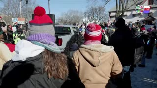 TWO CATS U.S. POLITICAL NEWS