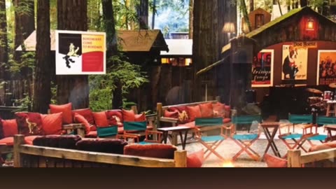 What REALLY Happens at Bohemian Grove?