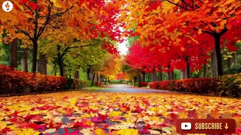 Soothing Autumn Music 🍁 Beautiful Relaxing Music for Stress & Anxiety Relief | Calm & Relax