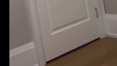 🤫📱 This TikTok Will Haunt You Forever | TheHauntingHour