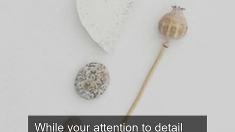 Daily Horoscope | Virgo 🌟