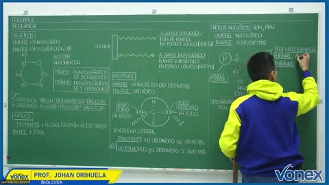 VONEX SEMIANUAL 2025 | Semana 04 | Biología