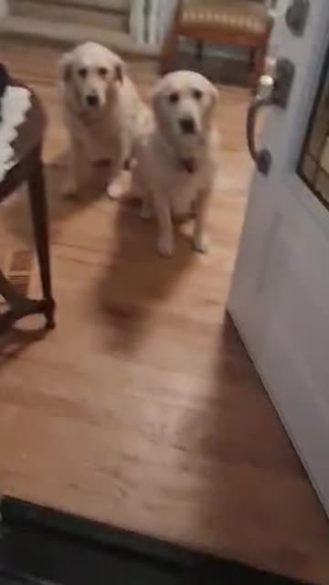 Sound on, We're Rollin' with Dad!