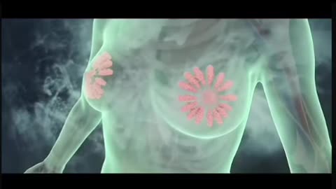 Each Tooth Connects To Other Organs In Our Body