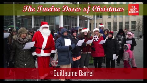 The Twelve Doses of Christmas
