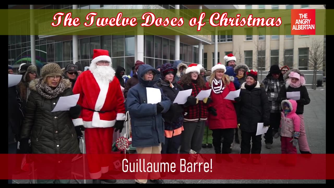 The Twelve Doses of Christmas