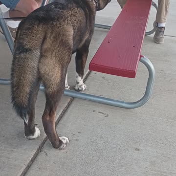 Charliue Kirk Candle light vigil Part 3 of 4