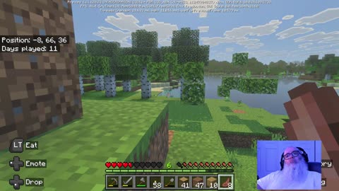 Minecraft?