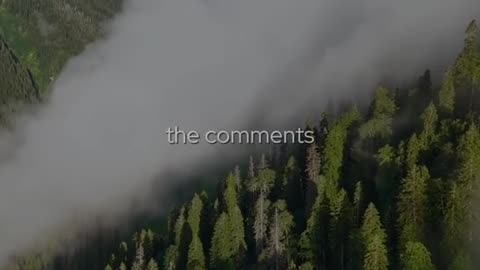 🙏✨ God's Praise & Prayer | Worship & Praise Him | InGodWeTrustDaily