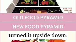 ‘Bread Makes You Fat?’: The New Food Pyramid Is Powered by Protein, Not Pastries
