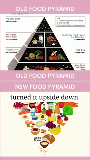 ‘Bread Makes You Fat?’: The New Food Pyramid Is Powered by Protein, Not Pastries