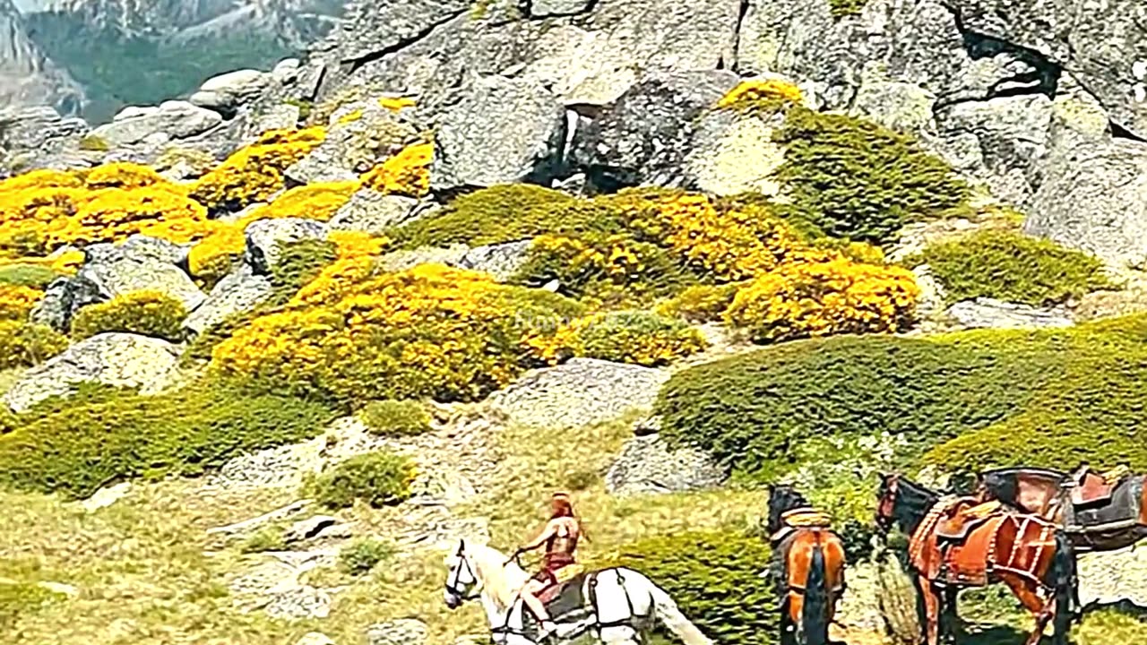 To save her sister, she has to return to the Dragon Cave