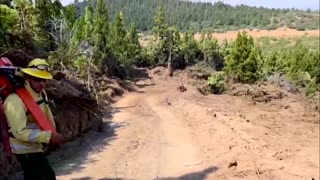 Argentine firefighters battle flames in Patagonia