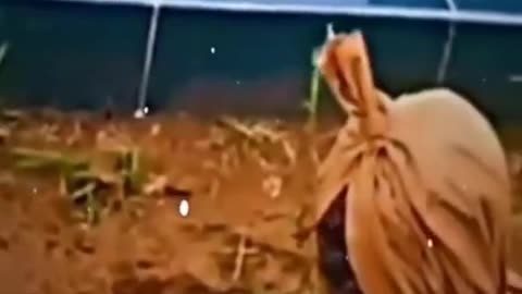 😱👹 Who or What Is Haunted? Unsettling Paranormal Activity | TheHauntingHour