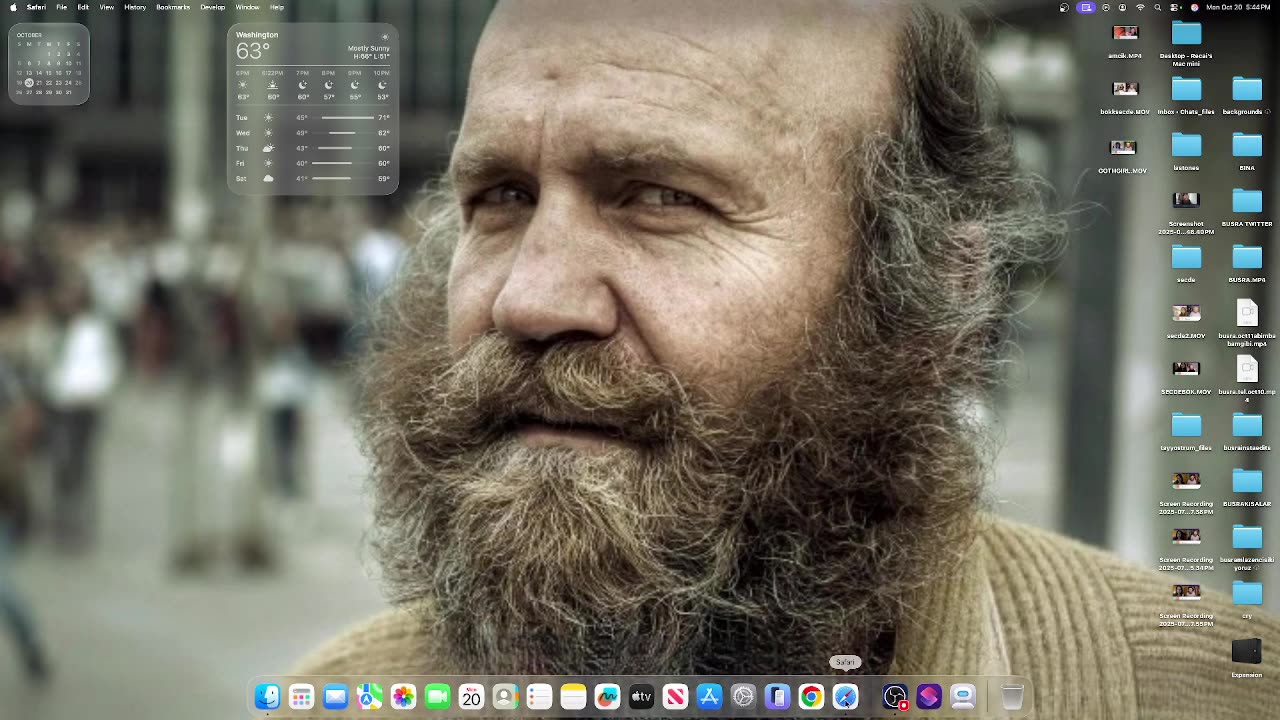 RECAI ISKENDER SUPER FOLLOSH SHOCK THERAPY