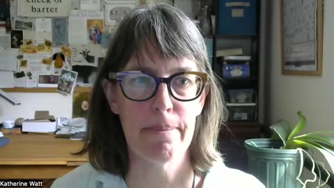 Sept. 2025 statement by Katherine Watt, for Leeuwarden NL case filed by Peter Stassen July 2023