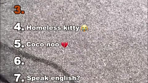 Ranking Funny Animal Reactions — You’ll Laugh So Hard!