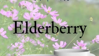 Herbal Tea Mugs That Choose Your Blend FOR You! Signature Series (Exclusive Drop)