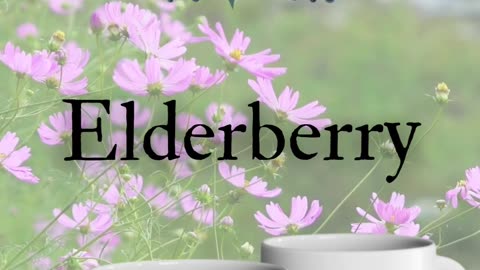 Herbal Tea Mugs That Choose Your Blend FOR You! Signature Series (Exclusive Drop)