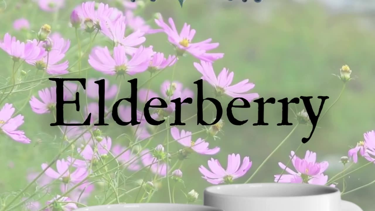 Herbal Tea Mugs That Choose Your Blend FOR You! Signature Series (Exclusive Drop)