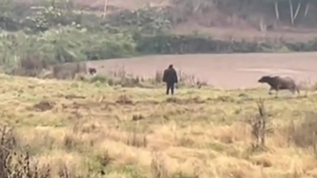 惬意的中国乡村
