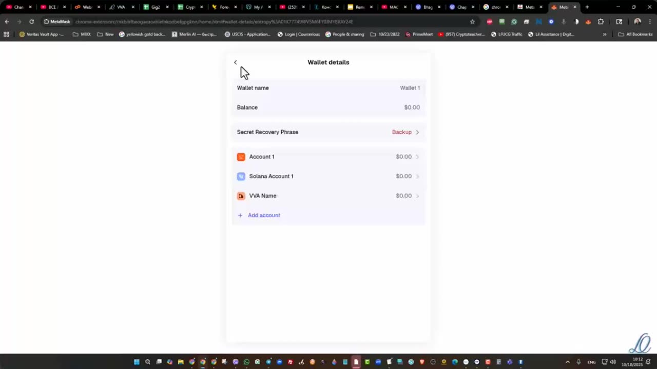 VERITAS VAULT (live demo) HOW TO SET UP A METAMASK WALLET - TOP TEAM TEAM ROB BUS