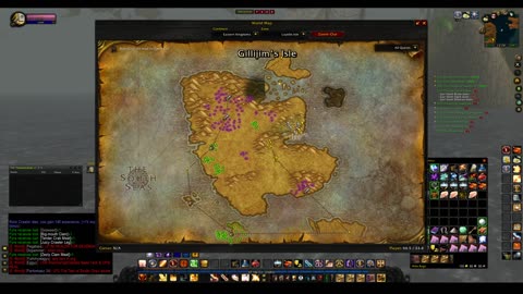 Turtle wow - The new server Ambershire - Paladin POV - Last few XP to 60