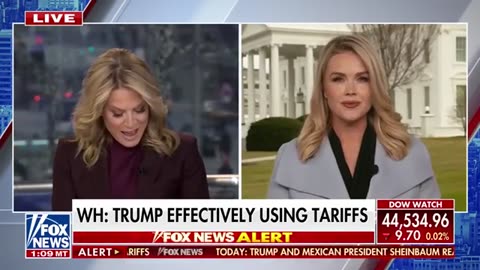 'Energy boom'_ White House explains how Trump is effectively using tariffs