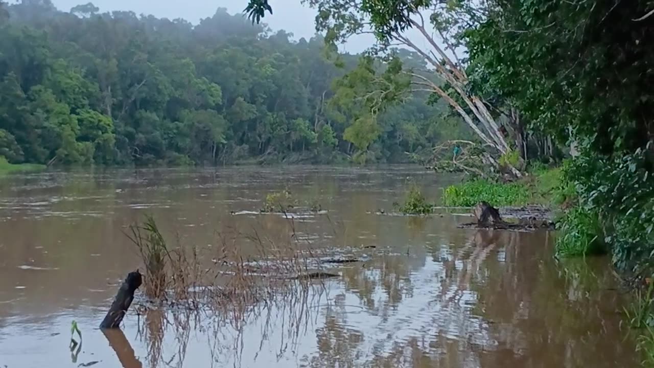 31.1.2025 The Barron River Kuranda