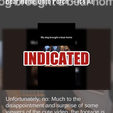 Fact Check: FAKE Ring Doorbell Camera Video Of Dog Bringing A Bear Home Onto Porch -- It's AI