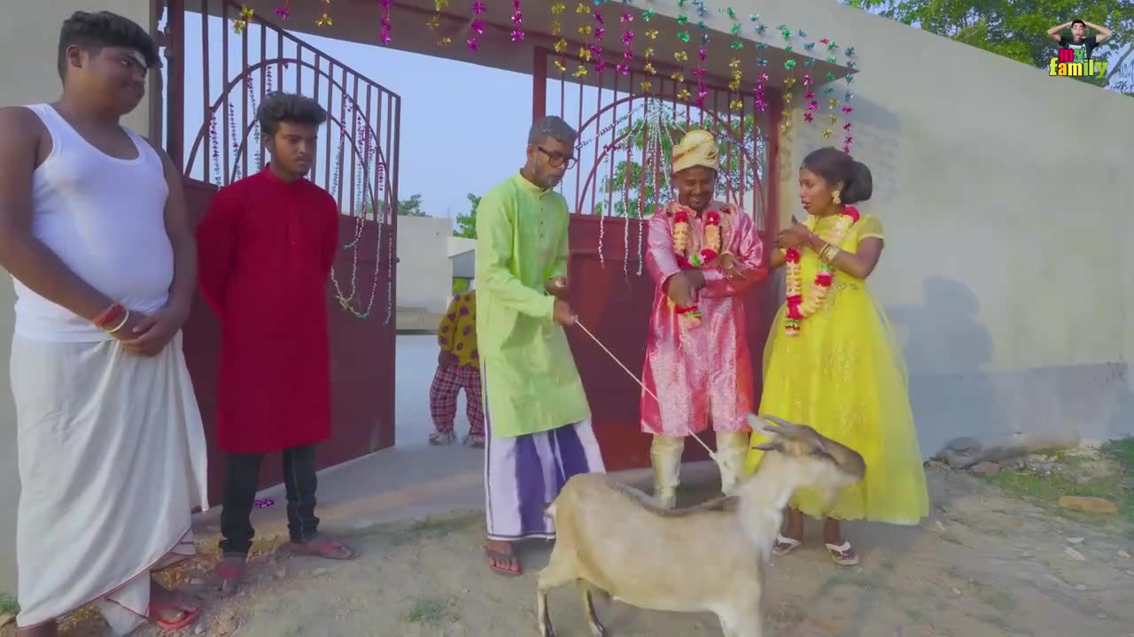 Funny comedy action love