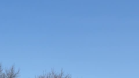Chemtrails 3/11/25 five