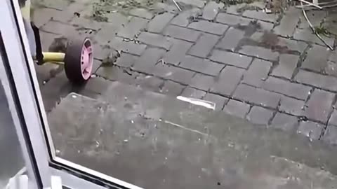 настроение на день