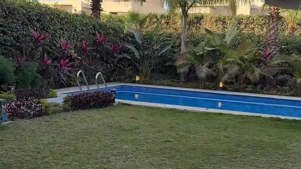 شاكرمحظوردلوقتيshaker1pan_20250217_210104