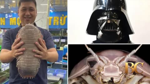 “Supergiant” sea bug named after Darth Vader found in South China Sea