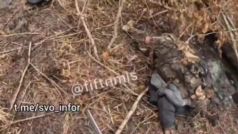 Meanwhile in Ukraine