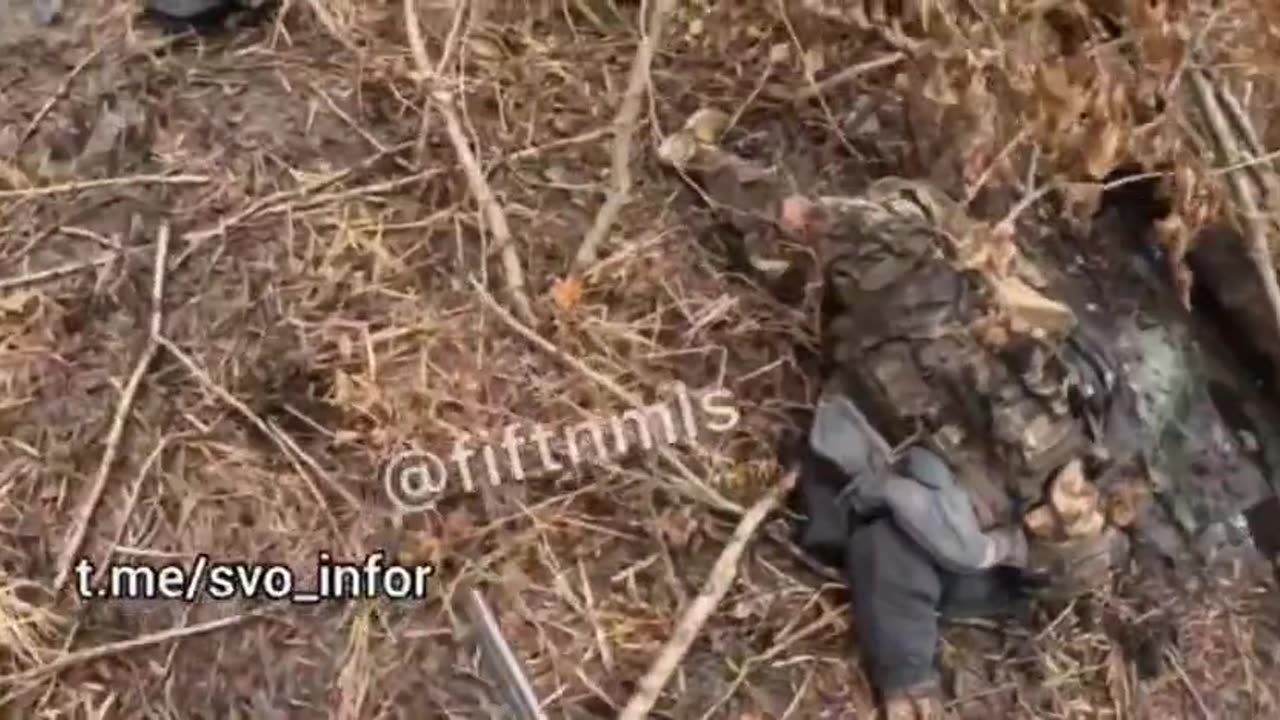 Meanwhile in Ukraine