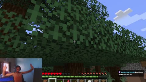 DAY 1 OF MINECRAFT VIDEO