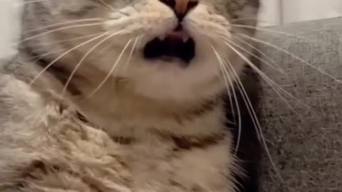 Instant Karma – Funny Reactions