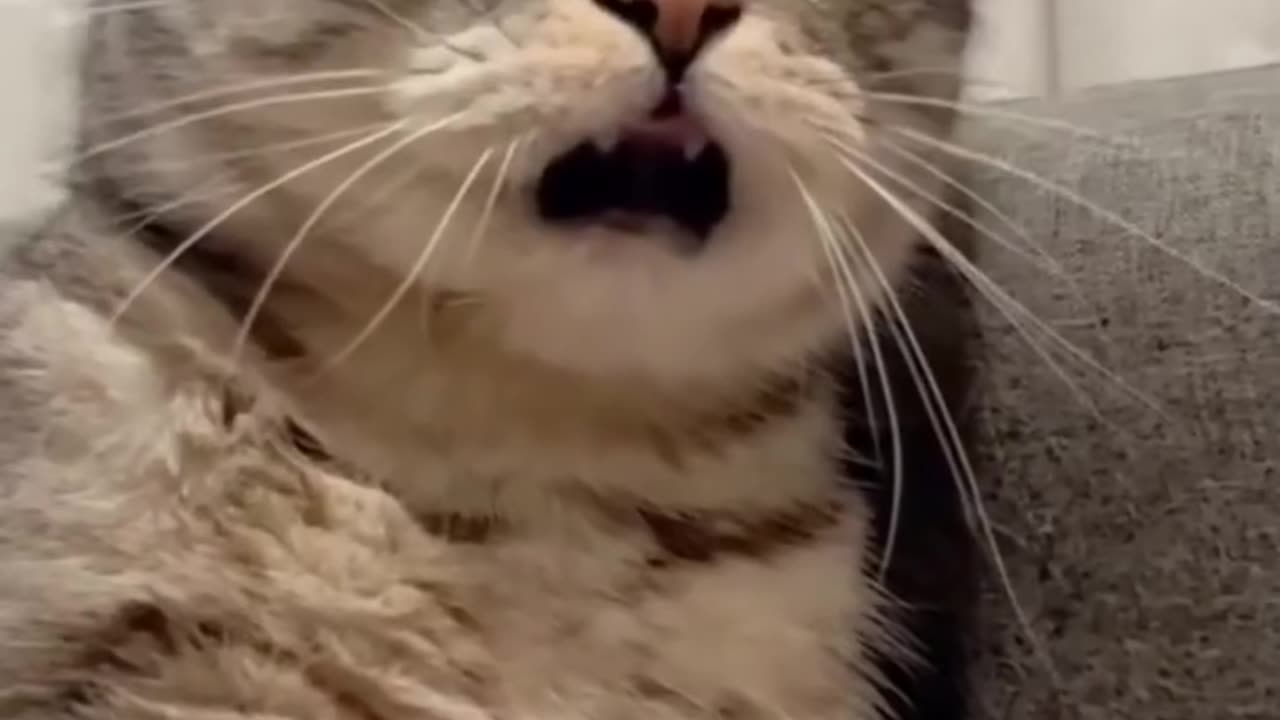 Instant Karma – Funny Reactions