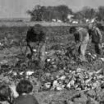 Germans from Russia to USA