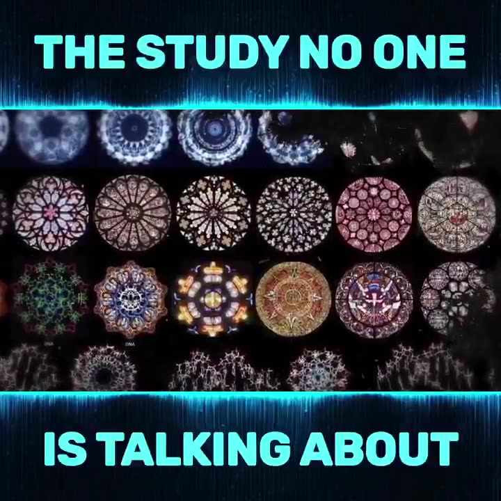 DNA Music Connection That Nobody Is Talking About