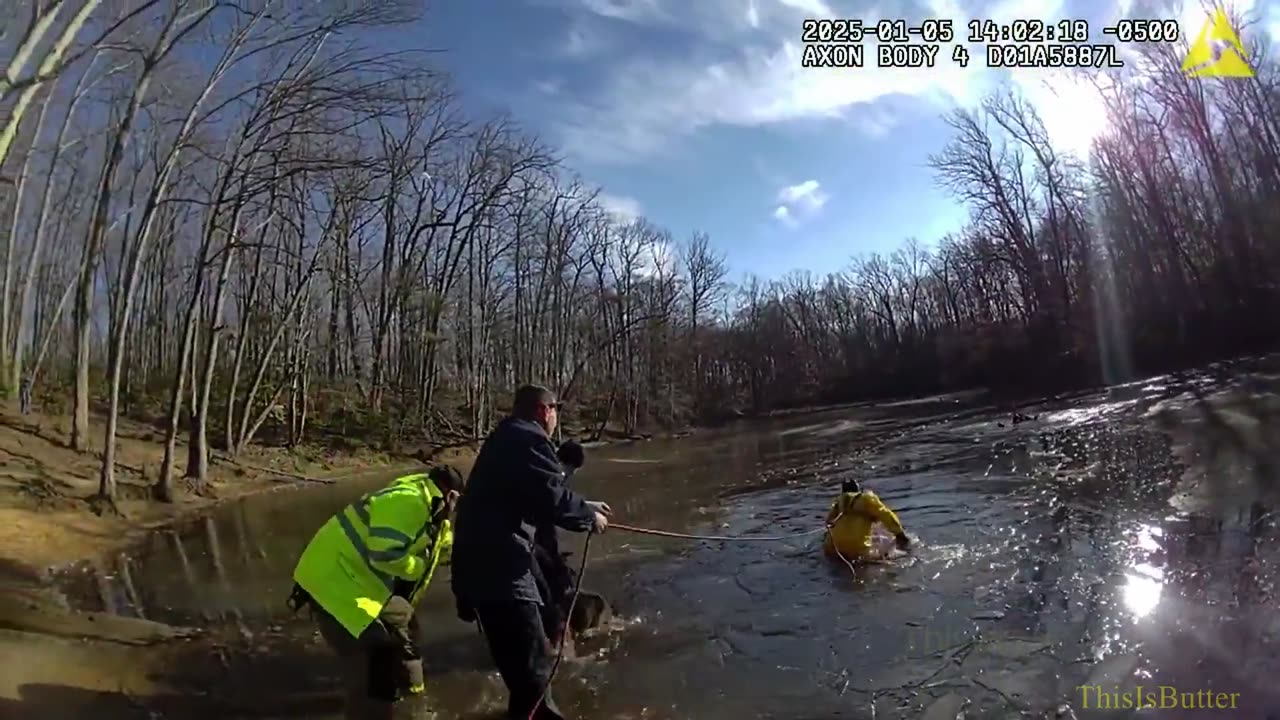 A woman and two dogs rescued from icy water in Blackwood, NJ