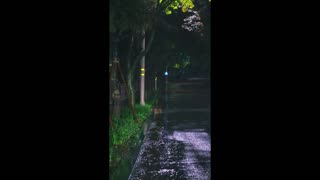 Golden Drift – light carried through time.