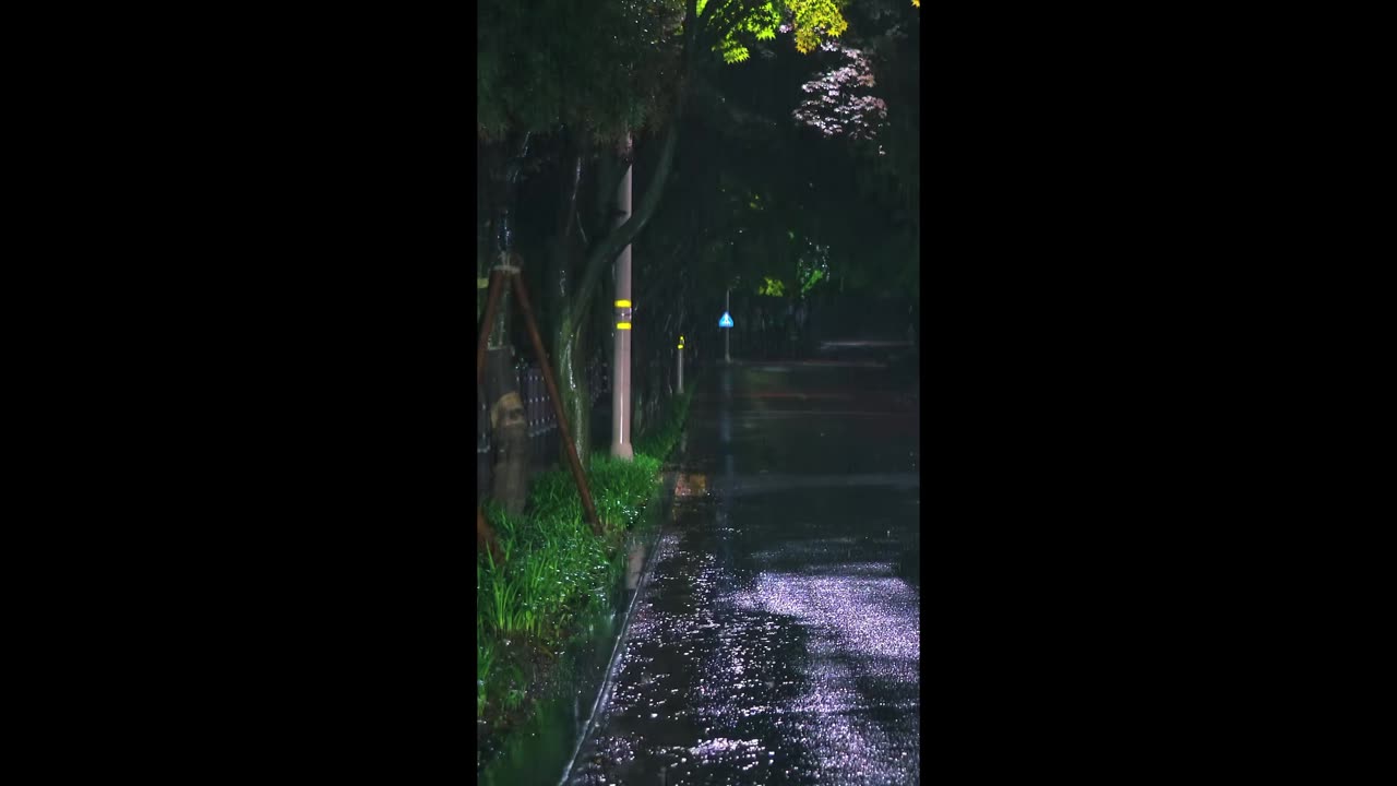 Golden Drift – light carried through time.